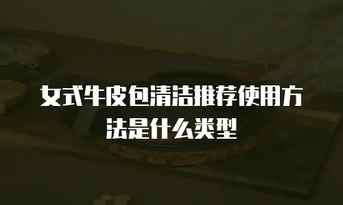 女式牛皮包清洁推荐使用方法是什么类型