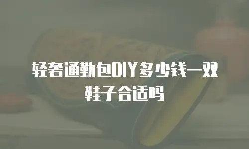 轻奢通勤包DIY多少钱一双鞋子合适吗