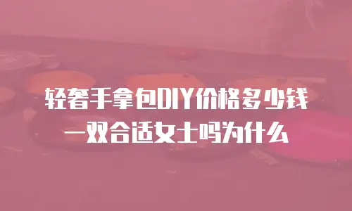 轻奢手拿包DIY价格多少钱一双合适女士吗为什么