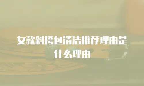 女款斜挎包清洁推荐理由是什么理由