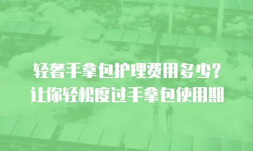 轻奢手拿包护理费用多少？让你轻松度过手拿包使用期