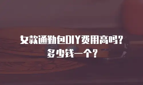 女款通勤包DIY费用高吗？多少钱一个？