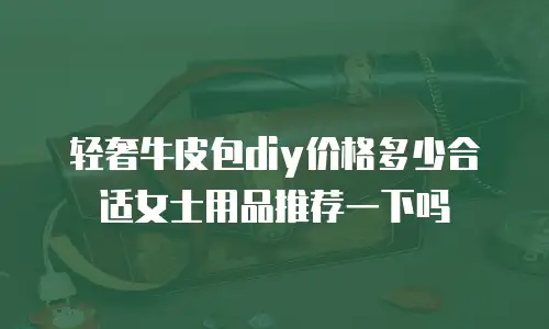 轻奢牛皮包diy价格多少合适女士用品推荐一下吗