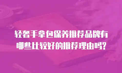 轻奢手拿包保养推荐品牌有哪些比较好的推荐理由吗?