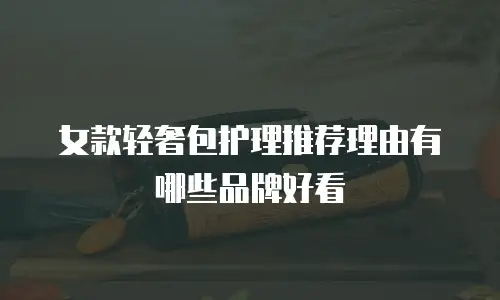 女款轻奢包护理推荐理由有哪些品牌好看