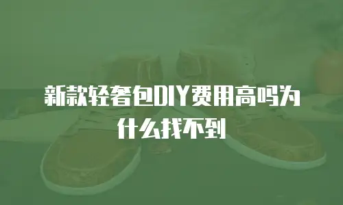 新款轻奢包DIY费用高吗为什么找不到