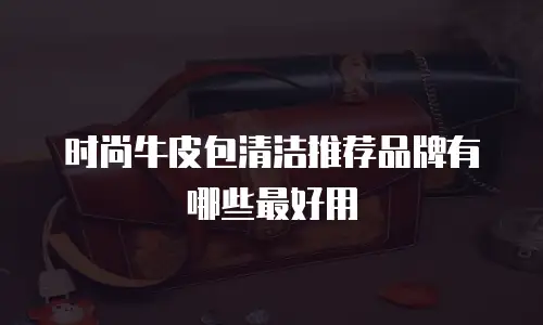 时尚牛皮包清洁推荐品牌有哪些最好用