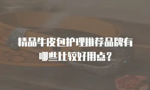精品牛皮包护理推荐品牌有哪些比较好用点？