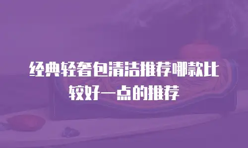 经典轻奢包清洁推荐哪款比较好一点的推荐