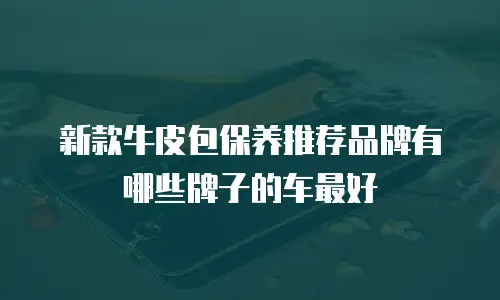 新款牛皮包保养推荐品牌有哪些牌子的车最好