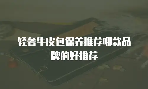 轻奢牛皮包保养推荐哪款品牌的好推荐