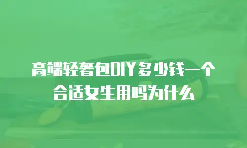 高端轻奢包DIY多少钱一个合适女生用吗为什么