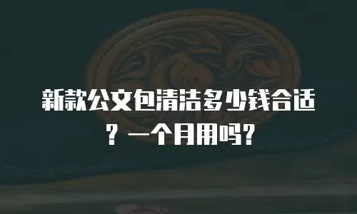 新款公文包清洁多少钱合适？一个月用吗？