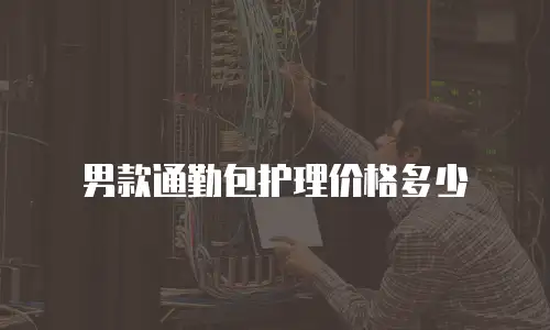 男款通勤包护理价格多少