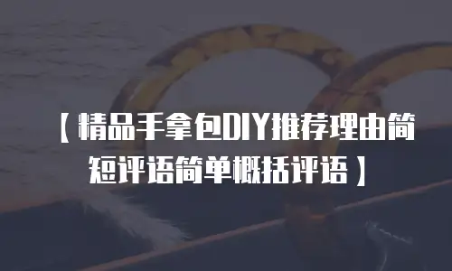 【精品手拿包DIY推荐理由简短评语简单概括评语】