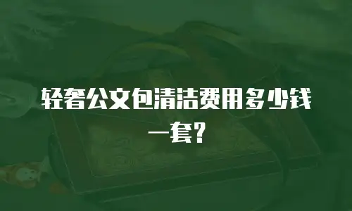 轻奢公文包清洁费用多少钱一套？