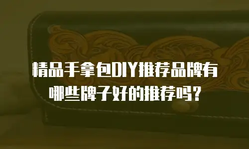 精品手拿包DIY推荐品牌有哪些牌子好的推荐吗？