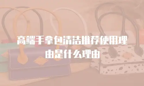 高端手拿包清洁推荐使用理由是什么理由