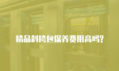 精品斜挎包保养费用高吗?