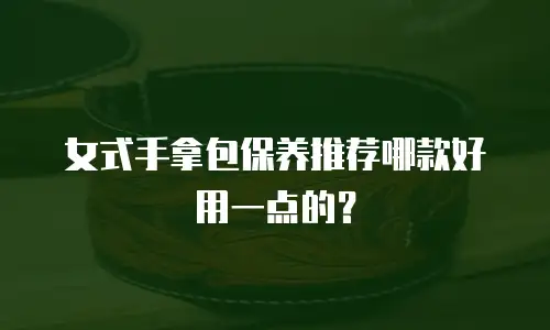 女式手拿包保养推荐哪款好用一点的？