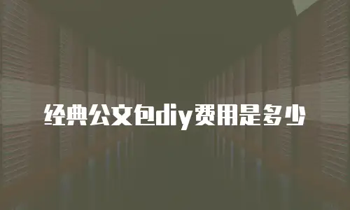 经典公文包diy费用是多少