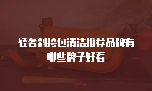 轻奢斜挎包清洁推荐品牌有哪些牌子好看