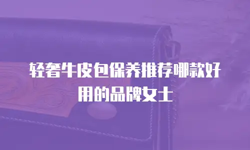 轻奢牛皮包保养推荐哪款好用的品牌女士