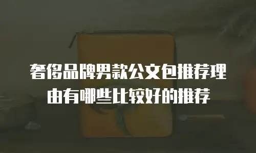 奢侈品牌男款公文包推荐理由有哪些比较好的推荐