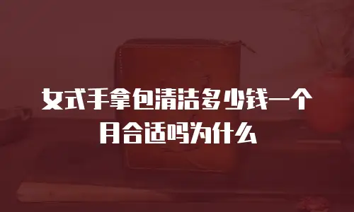女式手拿包清洁多少钱一个月合适吗为什么