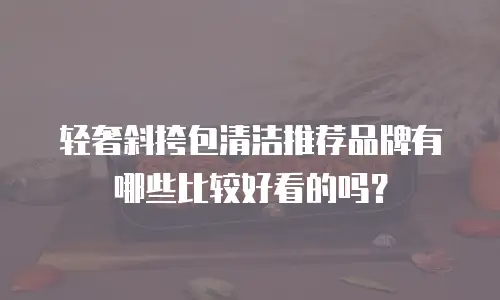 轻奢斜挎包清洁推荐品牌有哪些比较好看的吗？