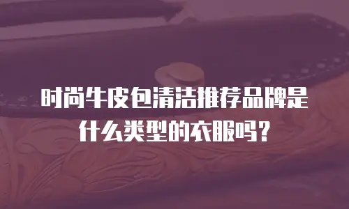 时尚牛皮包清洁推荐品牌是什么类型的衣服吗？