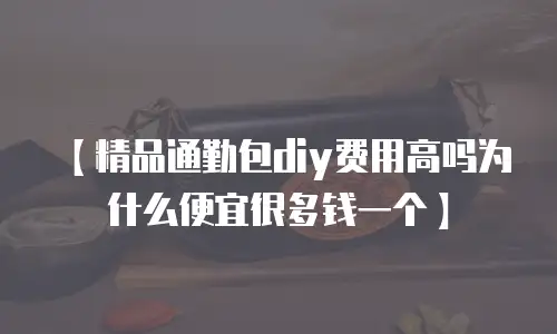 【精品通勤包diy费用高吗为什么便宜很多钱一个】