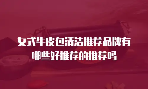 女式牛皮包清洁推荐品牌有哪些好推荐的推荐吗