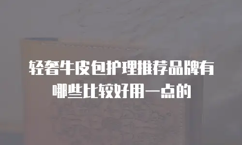 轻奢牛皮包护理推荐品牌有哪些比较好用一点的