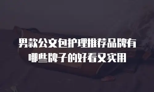 男款公文包护理推荐品牌有哪些牌子的好看又实用