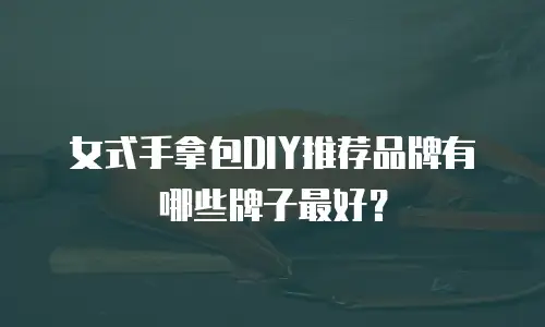 女式手拿包DIY推荐品牌有哪些牌子最好？