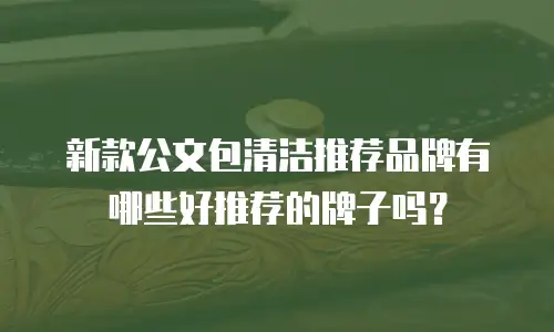 新款公文包清洁推荐品牌有哪些好推荐的牌子吗？
