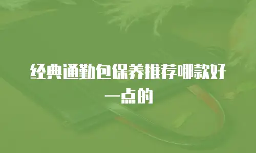 经典通勤包保养推荐哪款好一点的