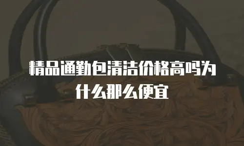 精品通勤包清洁价格高吗为什么那么便宜