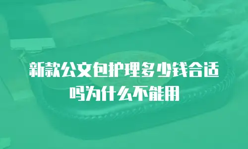 新款公文包护理多少钱合适吗为什么不能用