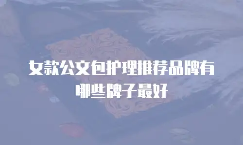 女款公文包护理推荐品牌有哪些牌子最好