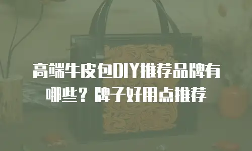 高端牛皮包DIY推荐品牌有哪些？牌子好用点推荐