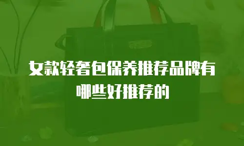 女款轻奢包保养推荐品牌有哪些好推荐的