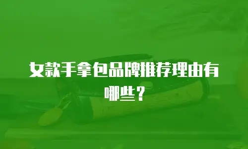 女款手拿包品牌推荐理由有哪些？