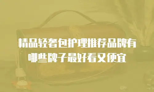 精品轻奢包护理推荐品牌有哪些牌子最好看又便宜