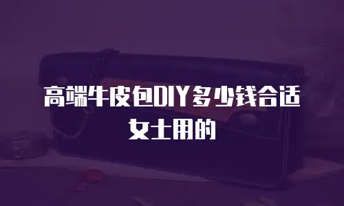 高端牛皮包DIY多少钱合适女士用的