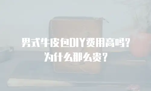 男式牛皮包DIY费用高吗？为什么那么贵？
