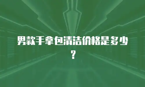 男款手拿包清洁价格是多少？