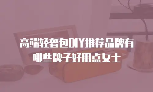 高端轻奢包DIY推荐品牌有哪些牌子好用点女士