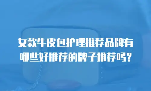 女款牛皮包护理推荐品牌有哪些好推荐的牌子推荐吗？